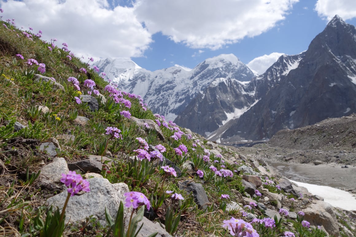 terich valley